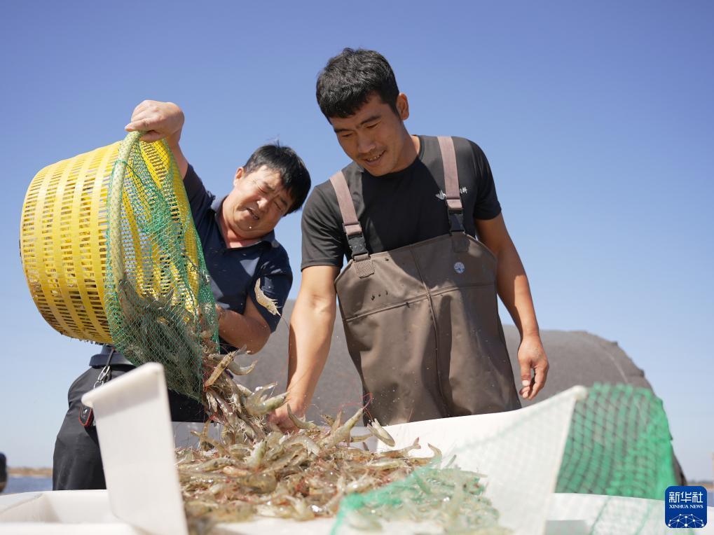 线上金沙网站